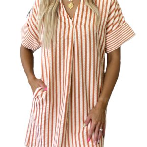 Women's Brown Stripe V Neck Shift Mini Dress – Casual Summer Style with Turn-up Cuffs - Main View