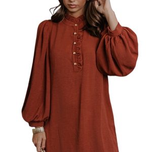 Women's Coffee Shift Dress, Elegant Long Sleeve Mini Dress - Main View