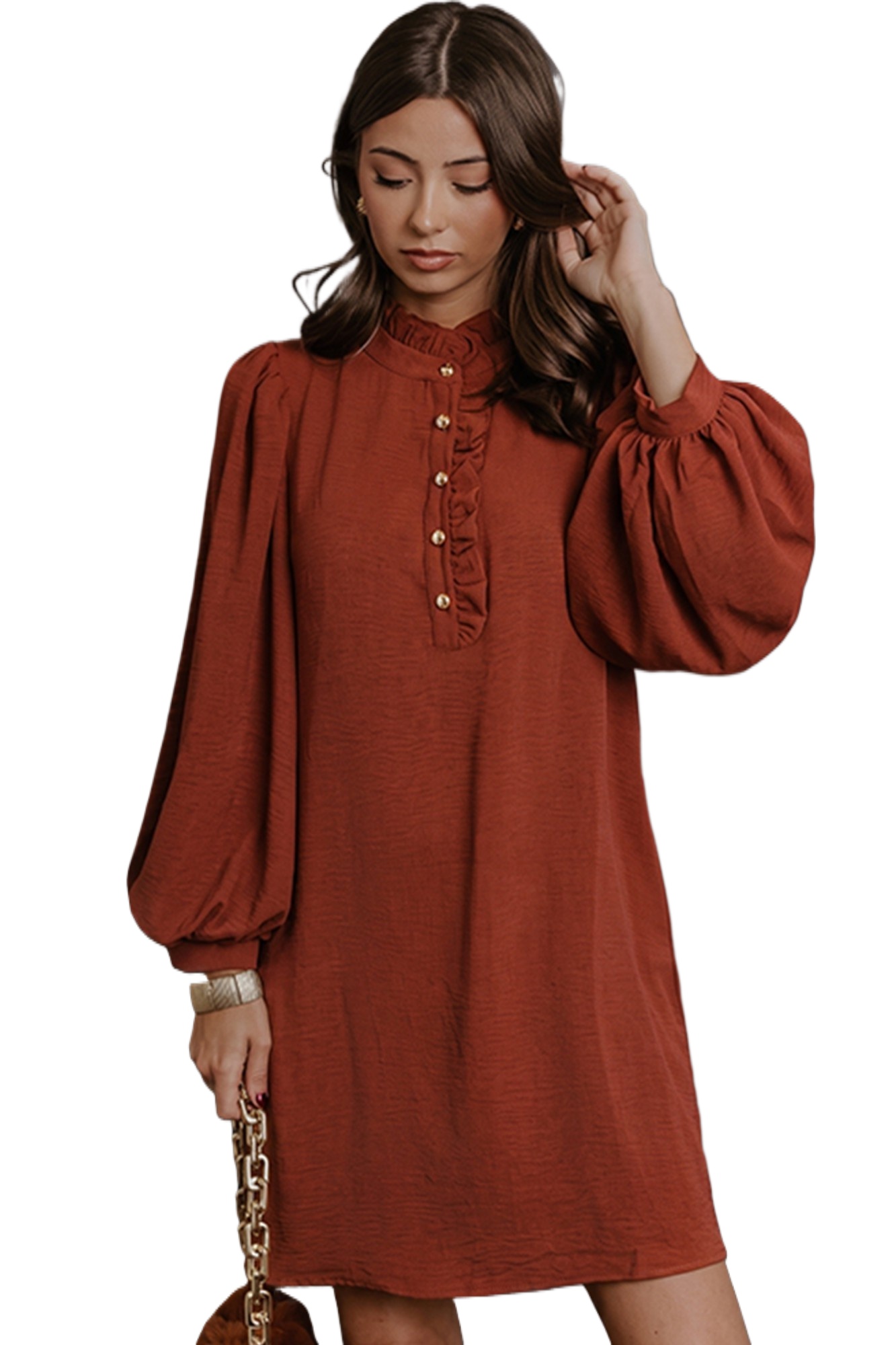 Women's Coffee Shift Dress, Elegant Long Sleeve Mini Dress - Main View Women's Coffee Shift Dress, Elegant Long Sleeve Mini Dress - Main View