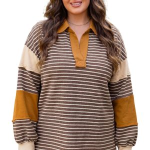 Women's Brown Striped Top, Casual Patchwork V Neck Pullover - Main View