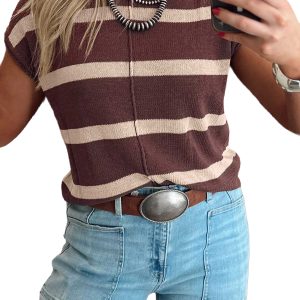 Women's Brown Striped Sweater, Casual Short Sleeve Knit Top - Main View