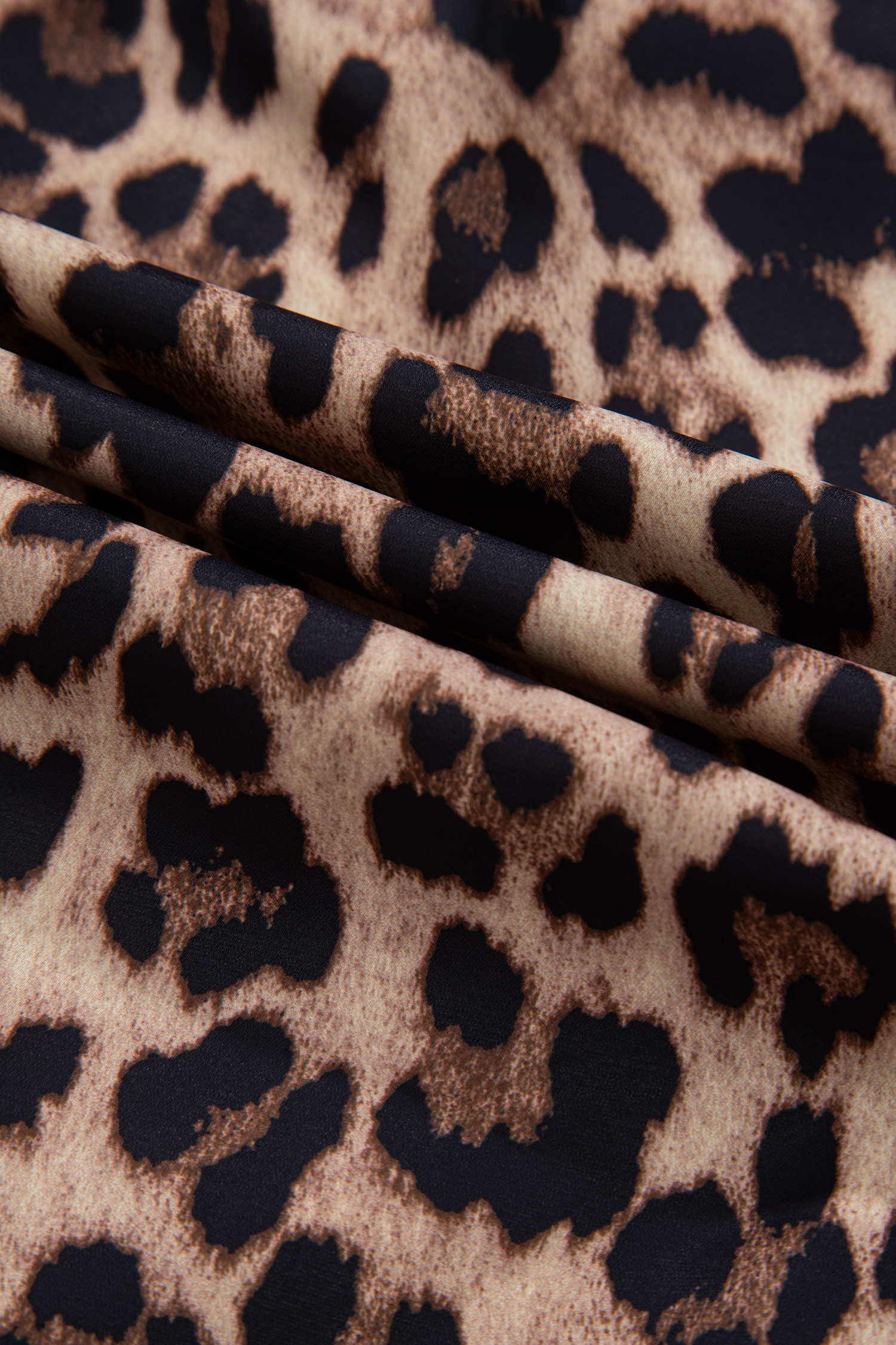 Chic Brown Leopard Print Button Down Shirt for Women – Lace Trimmed Short Sleeve Style - Detail View 11 Chic Brown Leopard Print Button Down Shirt for Women – Lace Trimmed Short Sleeve Style - Detail View 11