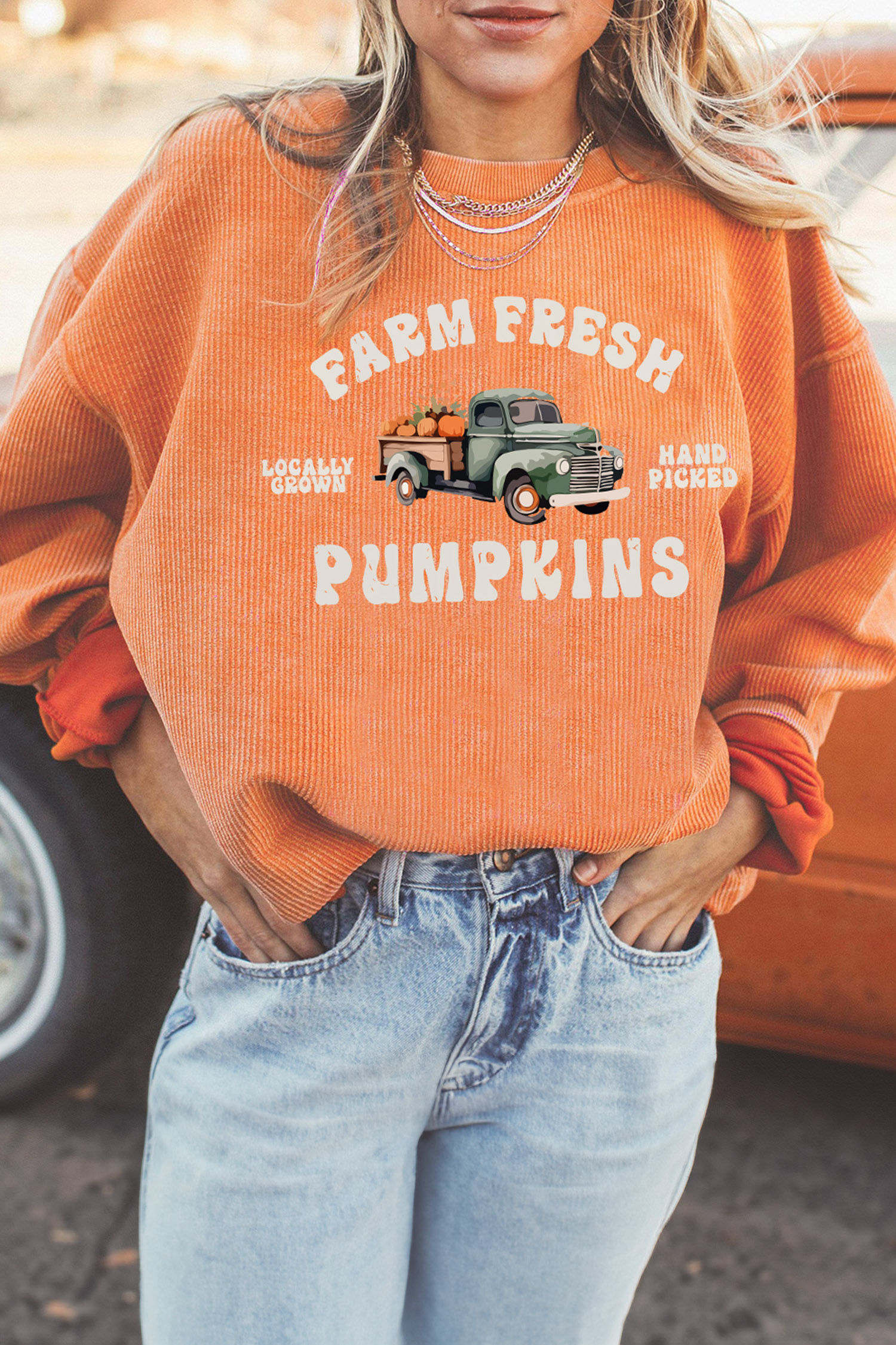 Ribbed Pumpkin Graphic Pullover, Casual Orange Autumn Top - Detail View 2 Ribbed Pumpkin Graphic Pullover, Casual Orange Autumn Top - Detail View 2