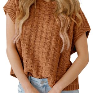 Women's Camel Round Neck Textured Knit Sweater Vest for Casual and Formal Wear - Main View