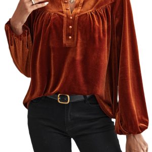 Women's Velvet Blouse, Elegant Long Sleeve V Neck Shirt - Main View
