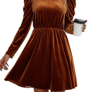 Women's Velvet A Line Dress, Frilled Neck Gigot Sleeve Mini - Main View